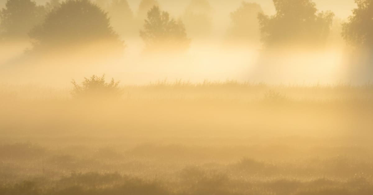 A Golden Threshold: Embracing Dreams of Comfort and Renewal