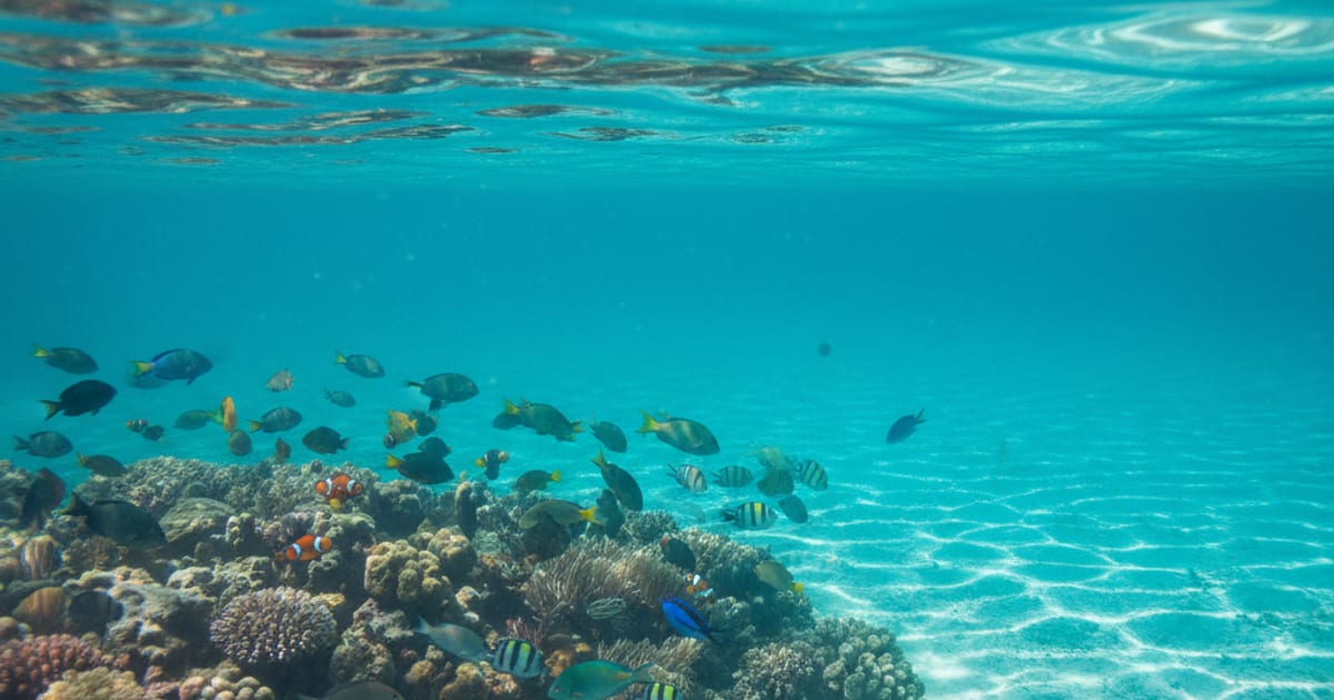 The Turquoise Unveiling: When Dreams Reflect Inner Transformation
